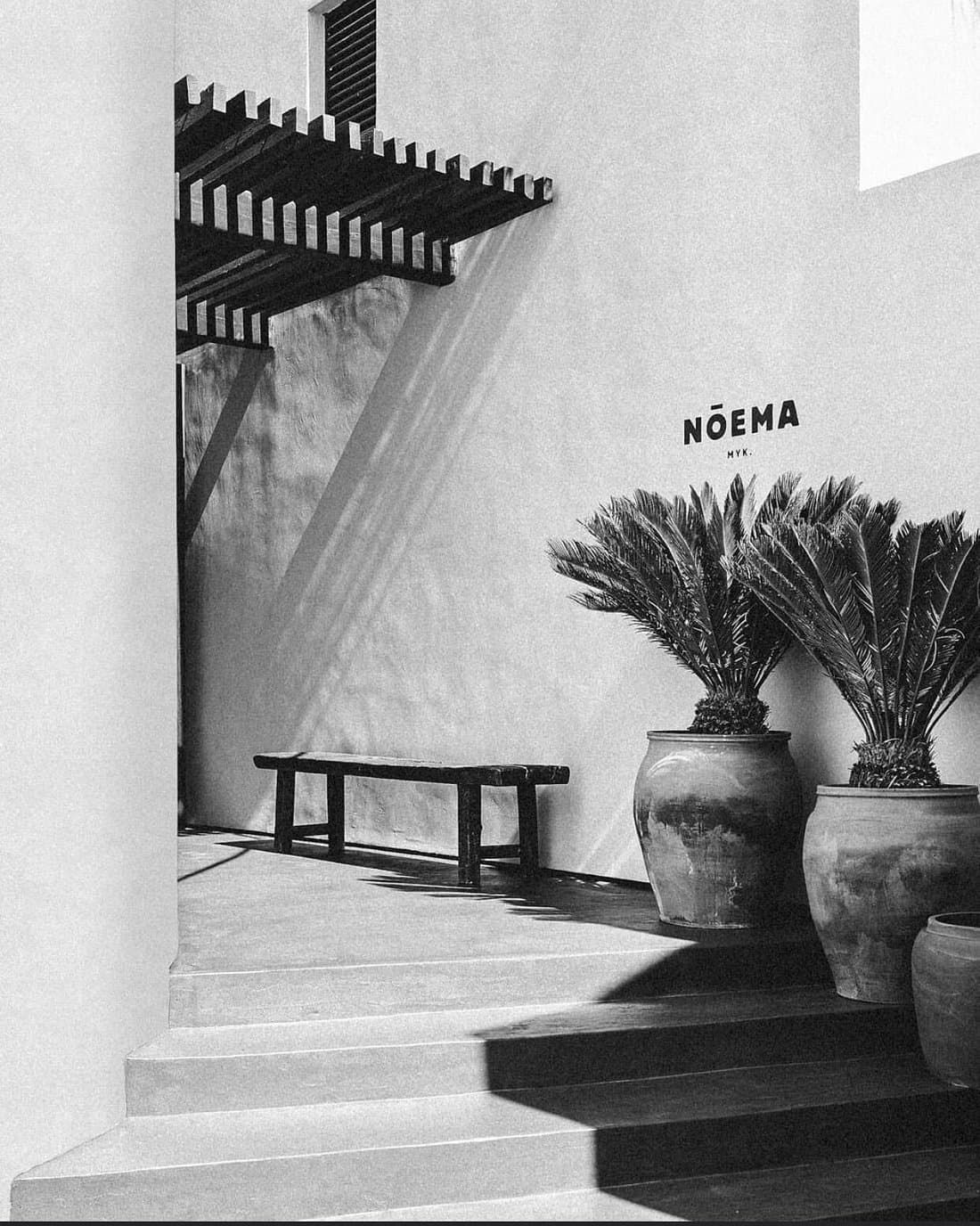 Noema